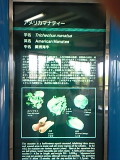 }ieB0018.jpg