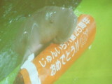 }ieB0048.jpg