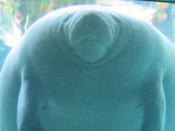 }ieB0129.jpg