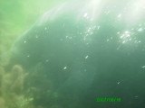 }ieB0157.jpg