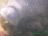 }ieB0158.jpg
