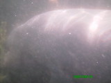 }ieB0159.jpg
