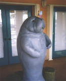 }ieB0247.jpg