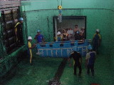 }ieB0321.jpg